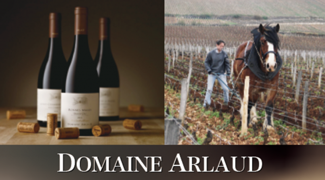 Domaine Arlaud 